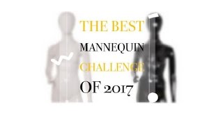 BEST MANNEQUIN CHALLENGE OF 2017