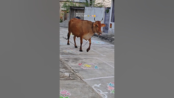 🌾🐄🪷కనుమ పండుగ శుభాకాంక్షలు 🌾🐄🪷🌼happy kanuma 🪷🌾 subscribe for more 🪷🐄🌾