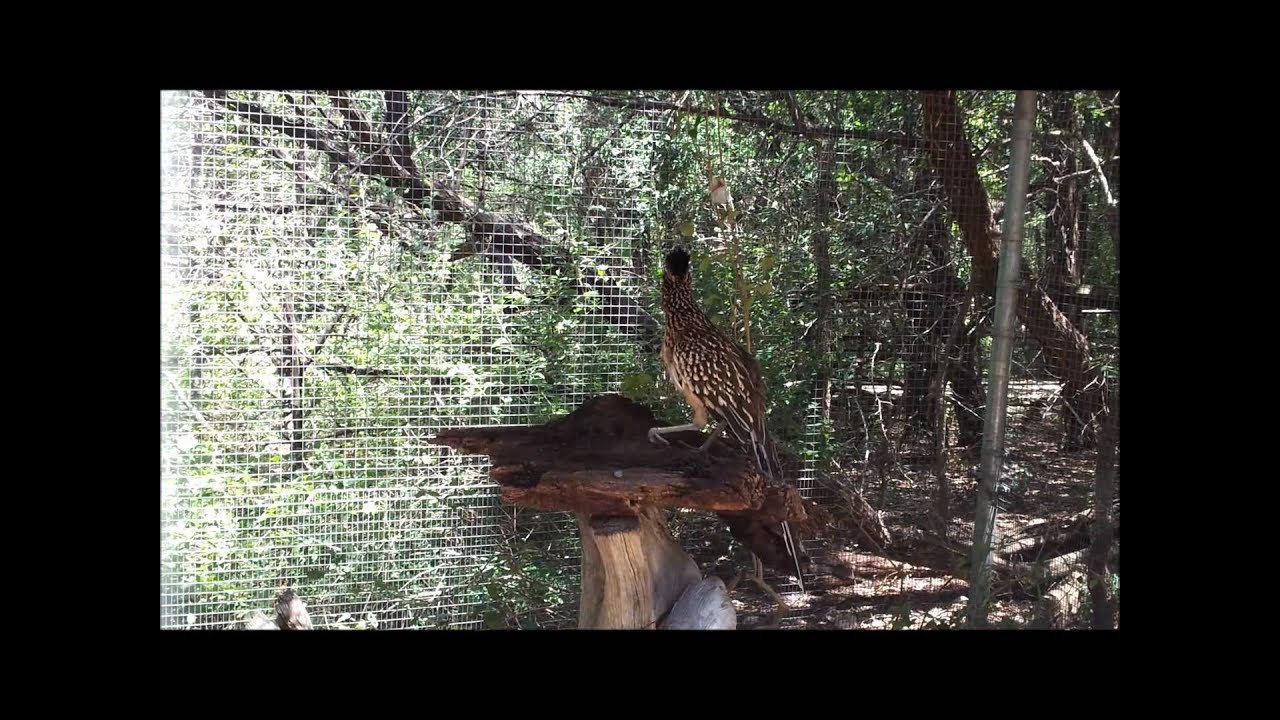 Austin Nature & Science Center