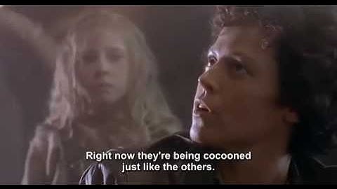 Nuke Entire Site From Orbit