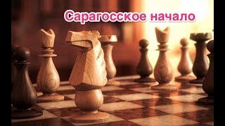 ⁣Новая рубрика №2! Необычные дебюты. Сарагосское начало