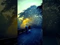 تلاوة قرآنية مؤثرة تبكي القلوب ✨ Abdulrahman Mossad #quran #islam #usaquran