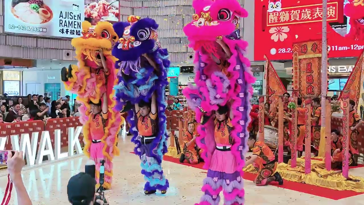【醒獅賀歲表演🦁】夏昭建龍獅體育總會｜VWALK｜年初十二 丙午馬年(2026.2.28)