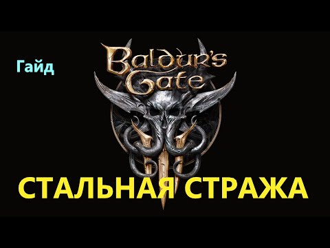 Видео: Baldur's Gate 3 Стальная стража #BaldursGate3