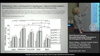 Neurodevelopmental Processes in the Emergence of Psychosis