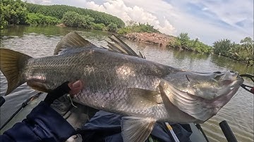 Thử nguyên ngày câu lure cá chẽm bằng mồi mềm lòng tong thái Lan 9cm