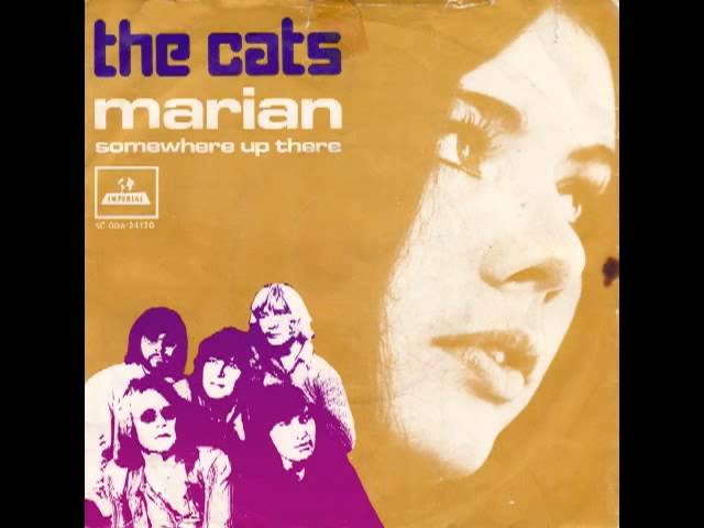 Cats - Marian