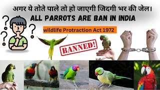 अगर ये तोते पाले तों हो जाएगी ज़िन्दगीभर की जेल // wildlife protection act 1972 in Hindi