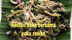 Kerabu Pucuk Paku Free Music Download