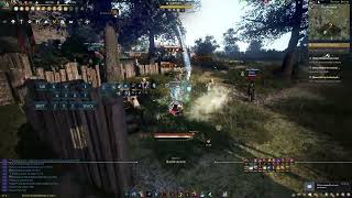 BDO Mystic AWK very basic combo (Use slowmo)