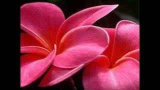 Tomar Chokhe Eto Aagun Ache