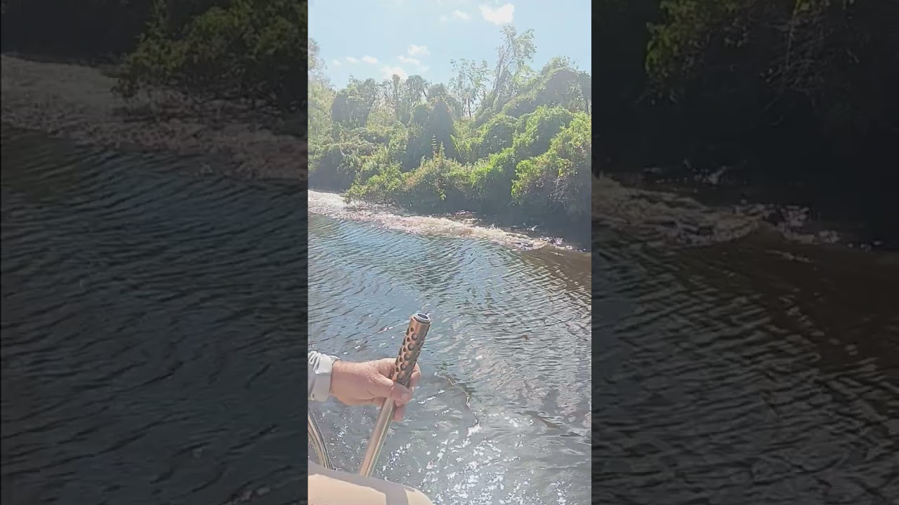 Airboat ride on the Peace River
