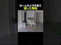 ホームカメラを見て涙した理由