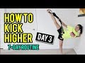 How to kick higher for martial arts day 3 routine
