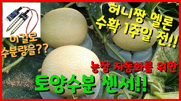 라즈베리 파이와 토양수분 센서 EP.10 행복한 농부