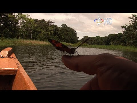 Lago de Yahuarcacas en Leticia Amazonas