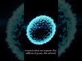 OOTW Lab — Apr 23, 2026 #Shorts
