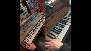 Prophet 10 and felt piano ambient jam