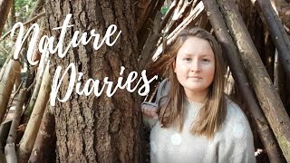 Mushroom Madness An Autumnal Woodland Walk - Nature Diaries