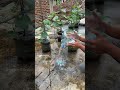 make a capillary pot from a used gallon #gardening #gardeningideas #gardeningtips #farming