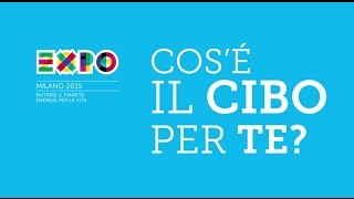 2 COSA E’ IL CIBO PER TE? EXPO MILANO 2015 AL FESTIVAL INTERNAZIONALE DEL FILM DI ROMA 2014