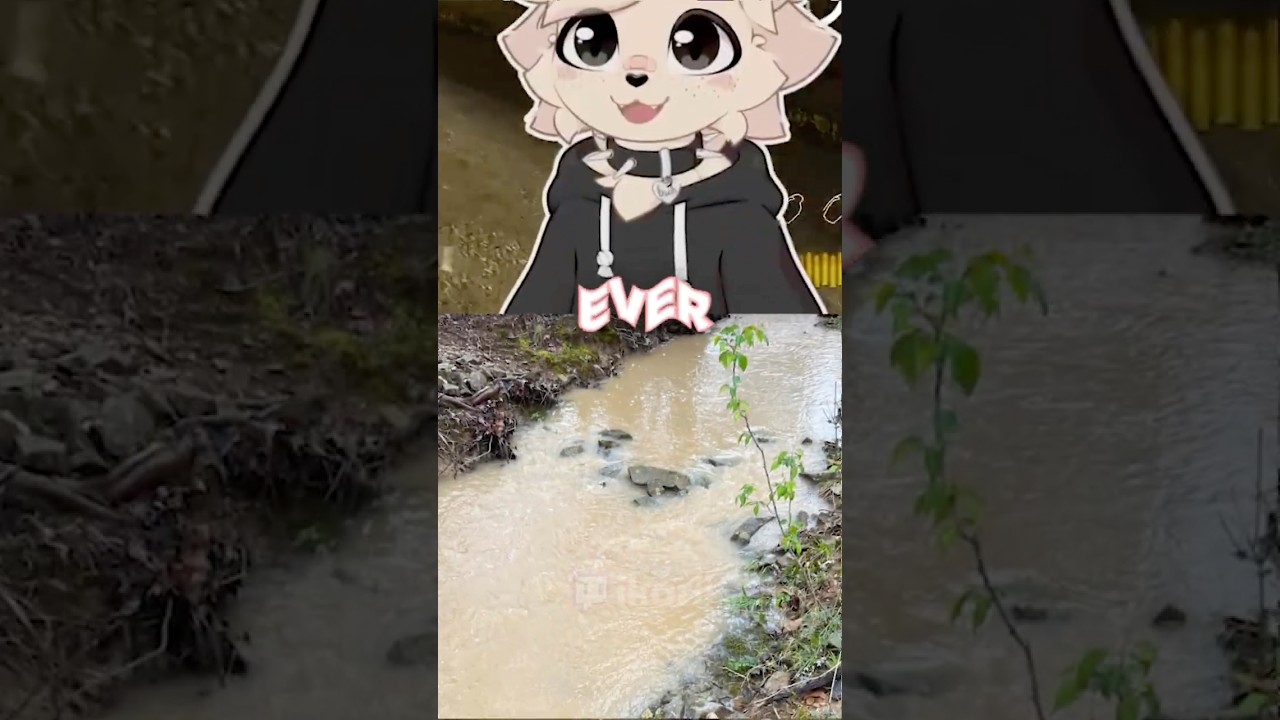 would you drink this?