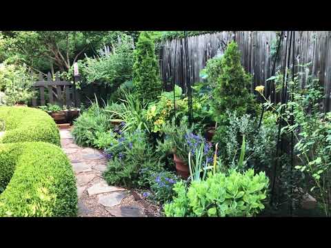 Container Herb Garden + Insect and Garden Pest Control