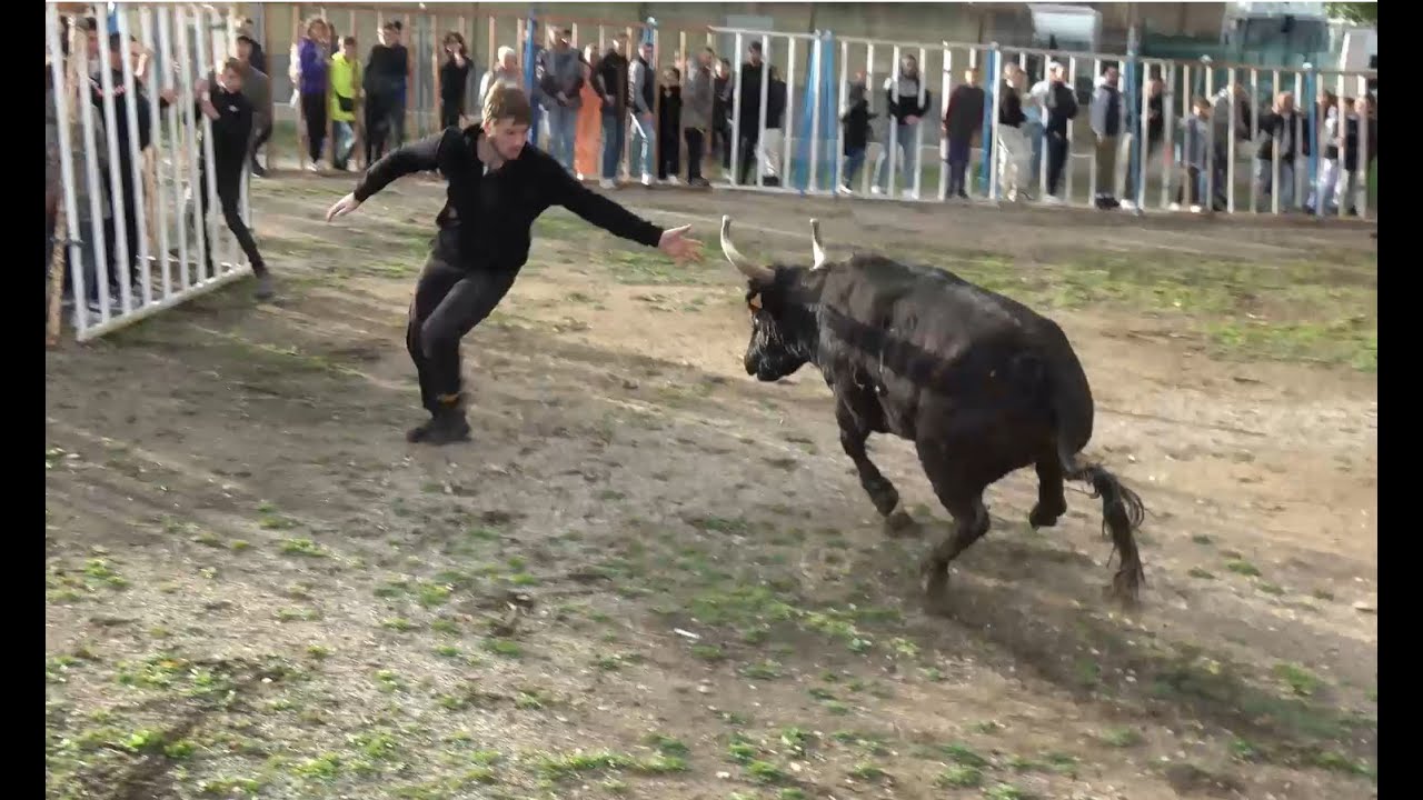 SAINT-GILLES ▶COURSE AU PLAN◀ 04.11.2023.