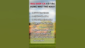 Rau Diếp Cá Có Tác Dụng Như Thế Nào? | Dr Cường Official