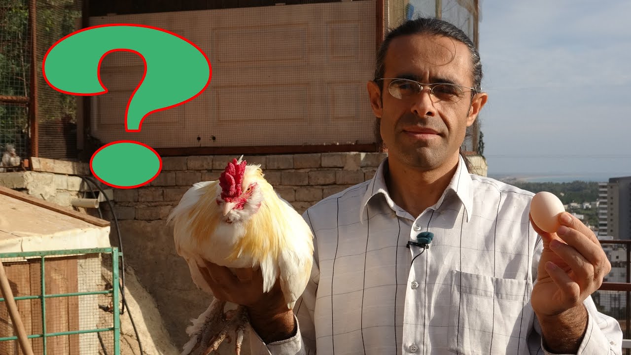 Artan Yem Maliyetlerine Dahiyane (!) Bir Çözüm Bulduk 😒