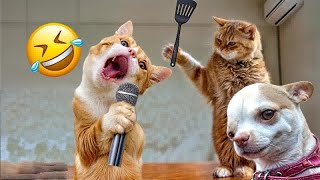 Funniest Cats and Dogs 2024 😹🐶 New Funny Animals Video 😍 Part 180