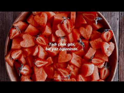 harry styles // watermelon sugar (türkçe çeviri)