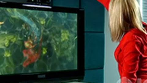 Project Natal Trailer (Microsoft Kinect)