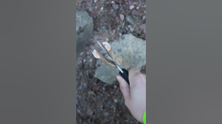 Carving Chopsticks In The Woods #shorts