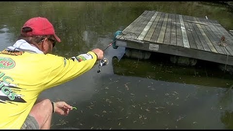 Amazing dock shooting technique for Crappie!
