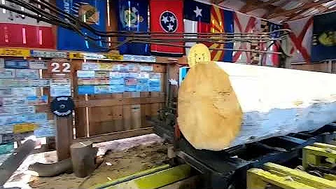 sawing the biggest pine log ever on this sawmill &...
