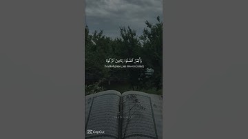 تلاوة خاشعة من الشيخ محمد اللحيدان #ياسر_الدوسري #قرآن #عبدالرحمن_مسعد #محمد_اللحيدان