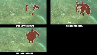 Densely Annotated VIdeo Segmentation (DAVIS) Challenge, CVPR 2019