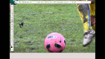 Photoshop Basics : Clone Tool