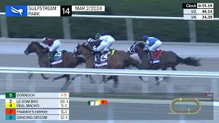 Gulfstream Park Carrera 14 (The Fountain of Youth) - 2 de Marzo 2024