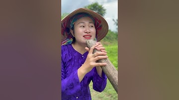 huyền thoại Hồ Núi Cốc phiên bản mới😃