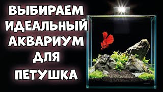 Выбираем идеальный аквариум для рыбки петушка: размер, форма и особенности.