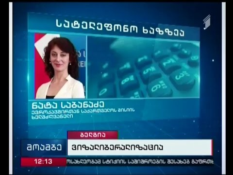 ევროპარლამენტის კომიტეტში საქართველოს ვიზალიბერალიზაციის საკითხზე იმსჯელებენ