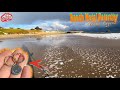 Beach Metal Detecting! Silver, Gold &amp; Happy Dogs! Santa Cruz, California! Nokta Legend!