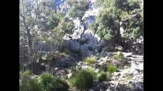 Hiking Trip Mallorca :)