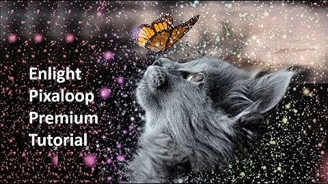 How to Save Pixaloop (motionleap) Videos in Gallery/ Pixaloop Save videos/ Pixaloop Pro