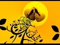 Download Bilal Yalçınkaya Medya Yapım Canlı Akışı Bilal Yalçınkaya Medya Yapım Canlı Akışı