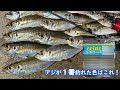 【初心者必見】初心者は知らない、上級者が愛用してる超釣れるワームのカラー紹介&検証!