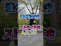 【足が速くなる】速く走るならストライドを高めよ