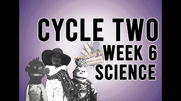 Cycle 2 Week 6 Science: Adapt, Migrate, Hibernate